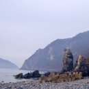 소야야카페
