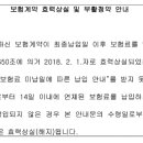 보험계약자와 피보험자가 다른 경우 보험계약자 및 피보험자에 대한 보험료 납입 최고와 계약 해지의 효력 여부 이미지