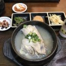 고미고미 이미지