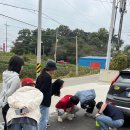 보나의언덕 이미지