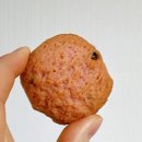 별꽃달