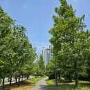 한라비발디파크젠 아파트 1305동 앞 어린이놀이터 | 동탄역 롯데캐슬 알바트로스 직접 가본 후기 3 | 숲세권과 동탄역의 편리함을 누리는 여유롭고 독보적인...