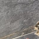 평택제니스요양병원 이미지