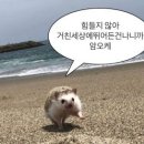 오케이14