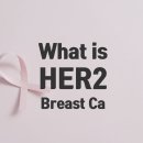 Recover Fit 이미지