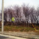 창리농장 이미지