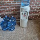 부평 페트 이미지