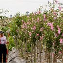 이동철농장 이미지