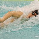 제주종합경기장 실내수영장 이미지