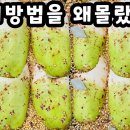 맛나