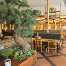 광주밥집 이미지