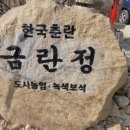 금란정 Daum카페