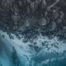 1402 | 한올바이오파마 - 3년만에 돌아온 IMVT-1402 모멘텀 분석