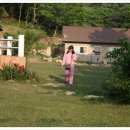 잔다리농장 이미지