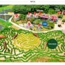 나무새 관광농원 이미지