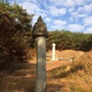 진주 허추 부부 묘 석물 | 진주 허추 부부 묘 석물