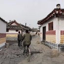 개성 Daum카페