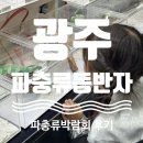 대신경로당 (옥내1) | [광주] 파충류 동반자 박람회 후기｜참게 낚시부터 먹거리까지 솔직 기록