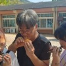 화순초 이서분교 이미지