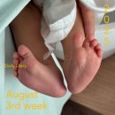 화영라이프 | 8월 셋째 주 일기 - 임산부 끝! 나 이제 엄마야 👶🍼