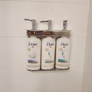 도브(Dove)호텔 이미지