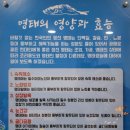 원조명태본가 - 연수구 앵고개로254번길 19-6 | 원조명태본가