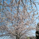 은파호수공원 9-4 이미지