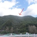 천동리목장 네이버블로그