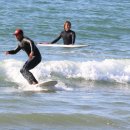 만리포니아 이미지