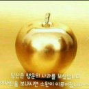 실버라인체조 이미지