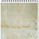 흥왕초등학교 이미지