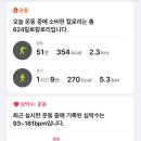 효창복싱 이미지