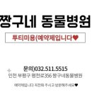 짱구네동물병원 이미지