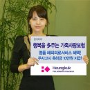 회사별 (의료) 실비보험 핵심 비교 보험길잡이 운영자 "일취얼짱 박병규" 이미지