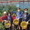 가온하우스 이미지