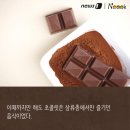 스토리쿡