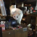 풍년상회 이미지