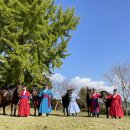 당진 승마장 이미지