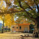 백봉초등학교 이미지