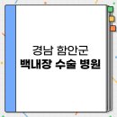 NR-3[경상대로]-상-359 | 경남 함안군 백내장 수술 전문병원 BEST 3 | 시력교정 | 스마일 라식 | 라섹