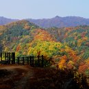 수산리-15 이미지