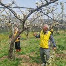 둔포농장 이미지