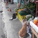 동그라미슈퍼 이미지