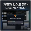 러버블 AI(Lovable AI) 바이브 코딩 가이드: 프롬프트 전략부터 가격까지 완벽 정리