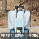 리브짐 | 여행 짐 늘어날 때 필수템, 리브코지 여행용 캐리어 보조가방 보스턴백 후기