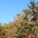 유치자연휴양림 이미지