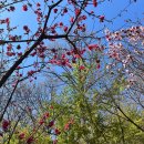 서하노래주점 | [월간 기록] 23년 4월 🌷