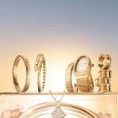 (주)더한비코리아 이미지