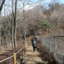 매봉산림욕장 Daum카페
