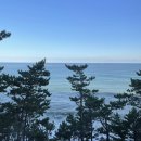 부산땅콩